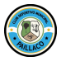 CF3 - Escudo cd-municipal-paillaco